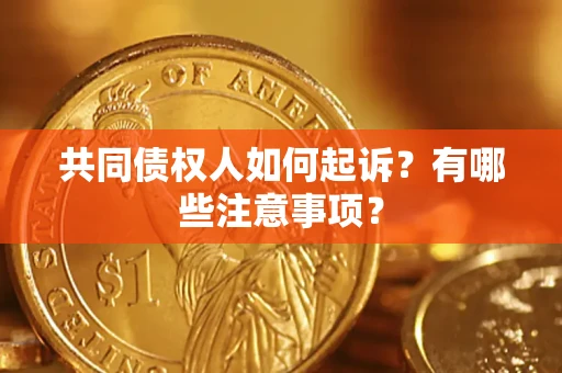 北京共同债权人如何起诉？有哪些注意事项？