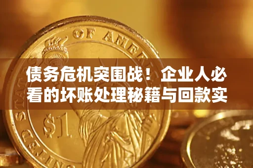 北京债务危机突围战！企业人必看的坏账处理秘籍与回款实战指南